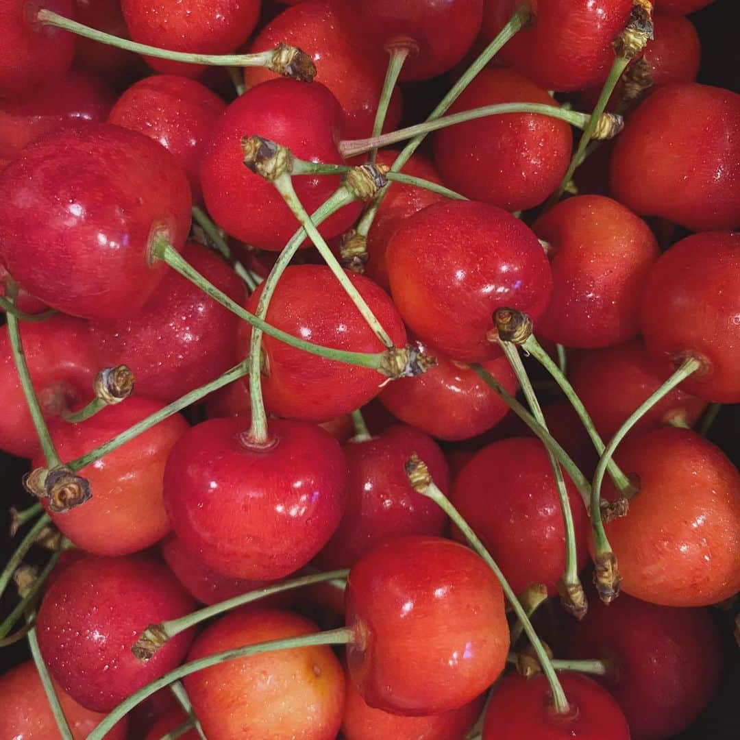 畑野ひろ子のインスタグラム：「家族揃って大好きなさくらんぼ🍒🍒🍒  次女は、相変わらず種抜きにハマってます😂」