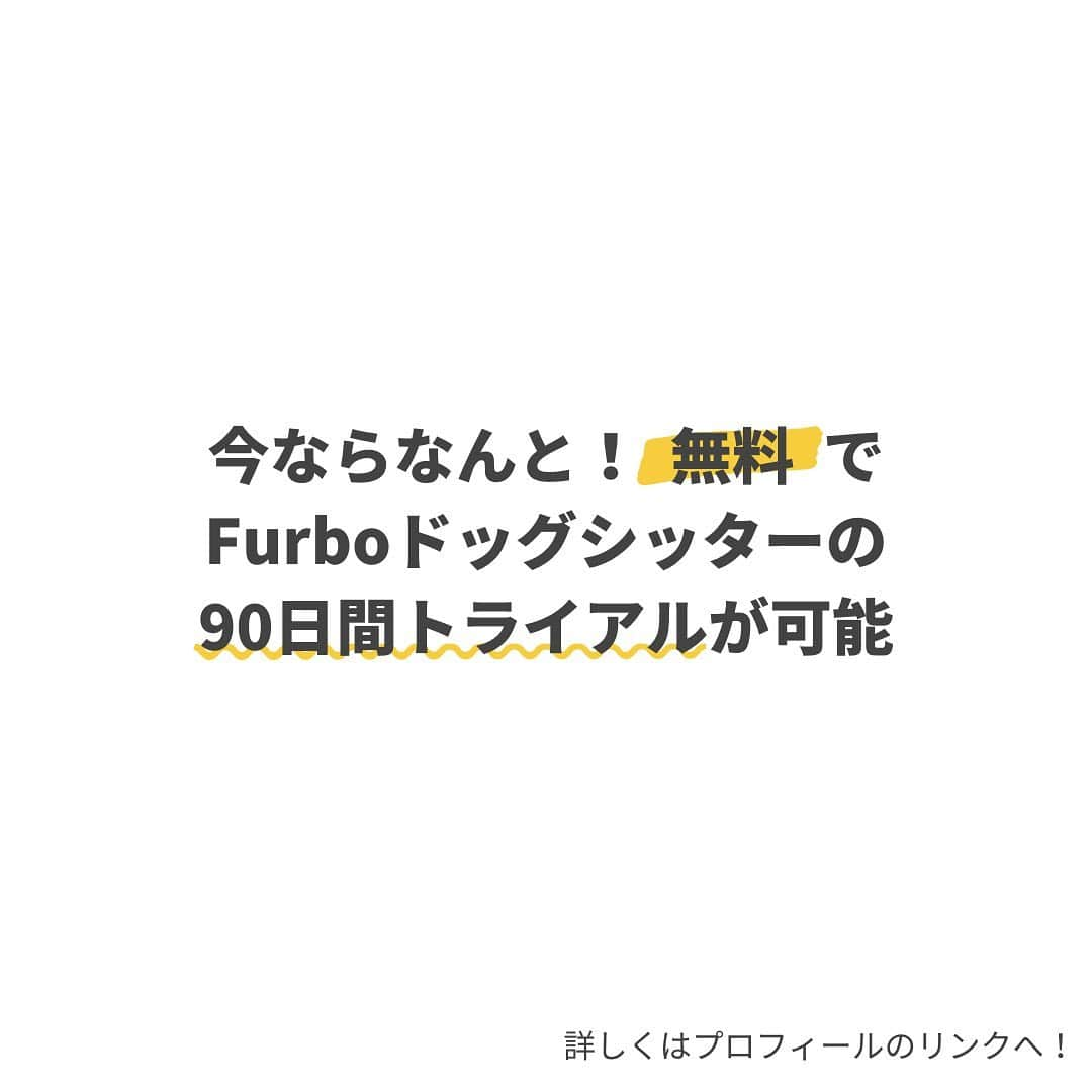 Furbo ドッグカメラさんのインスタグラム写真 - (Furbo ドッグカメラInstagram)「📣重 大 発 表📣 本日より新サービス【Furboドッグシッター】をリリース致します！👏👏⁠⠀ ⁠⠀ Furboドッグシッターは、あなたに代わって愛犬を見守り、「安全」や「健康」にまつわる愛犬のリスクを察知➡️通知する、日本初のAIドッグシッターサービスです✨⁠⠀ ⁠⠀ ⁠⠀ 💛 Furboドッグシッターのメイン機能 💛⁠⠀ ⁠⠀ 1️⃣クラウドレコーディング：アクティブ状態のわんちゃんをAIが検知し、自動で15秒ごとの動画をアプリに保存。⁠⠀ ⁠⠀ 2️⃣ドギーダイアリー：Furboが一日の間に保存したわんちゃんの動画を、最大60秒のハイライトビデオに編集し、一日一回お届け。⁠⠀ ⁠⠀ 3️⃣スマート通知：火災・ガス漏れなどの緊急時や、家族（人）が写り込んだとき、わんちゃんがFurboのカメラを見ているとき、わんちゃんが活動中のときに、通知をお届け。⁠⠀ ⁠⠀ →詳細は、プロフィールのリンクよりご確認いただけます💡⁠⠀ ⁠⠀ 今ならなんと、Furboドッグシッターが90日間無料でトライアル可能！！⁠⠀ わんちゃんを愛するFurboユーザーの皆さまは、是非一度お試ください💛⁠⠀ ⁠⠀ ⁠⠀ ⁠⠀ #ファーボ⁠⠀ #Furbo⁠⠀ #ファーボドッグシッター⁠⠀ #ドッグシッター」6月30日 10時03分 - furbo_japan