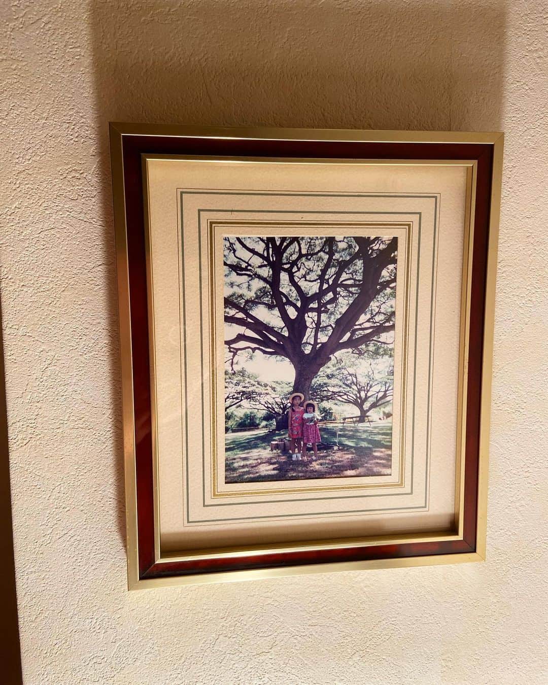 荒尾茉紀のインスタグラム：「ベッドの横にあるもの❣️絵画ではなく素朴すぎる子供の写真（笑）かれこれ20数年前なのに、この時のこと何となく覚えてるなー。公園にいた鳩が怖くて、３つ年下の妹に追い払ってもらった！妹の後ろを歩いてこの木にたどり着いた！！🤣🤣🤣 This picture was taken more than 20years ago but I remember that time.I was afraid of pigeons in the park and got help from my younger sister.😅😅😅Also this was the first time I went to an English-speaking country with my family❣️  #写真 #思い出 #このきなんのき気になる木 #photo #goodmemory」