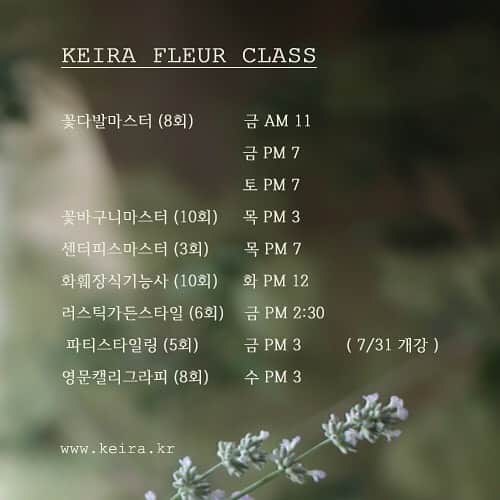 플로리스트 김애진(케이라플레르)さんのインスタグラム写真 - (플로리스트 김애진(케이라플레르)Instagram)「✔️케이라 수업 시간표입니다. 커리큘럼은 블로그를 통해 확인가능하세요 ☺️ ⠀ ⠀ ⠀ ⠀ www.keira.kr ⠀ ⠀ 수업문의 -수업 중에는 통화가 어렵습니다. 문의는 카톡(riry20), dm 주세요  ⠀ ⠀ 🏷 @keirafleurshop 👈🏻 선생님 데몬 판매, 예약 꽃주문은 샵계정으로 문의주세요!  ⠀ ⠀ ⠀」6月30日 10時30分 - keirafleur