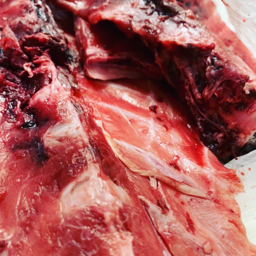 のインスタグラム：「6月30日火曜日 今日は昨日より魚が少ない！！ やたらカツオだけがどこも安くて魚も良さげでしたね なんとなく鹿児島、宮城のカツオも少し買って見ましたがやはり千葉が今日はいい感じ、鮮度見るのに魚体や目の透明感、エラの赤さは勿論ですがカツオは鮮度が良いと尻尾の辺りの皮がサメ皮のようにザラザラしてるんです！1本まんま買う時は参考にしてみて下さい！ ただカツオは開いてみないとわからない打身で血が回ってたりとかよくあるので最後は運頼みですけどね 今日も少しですがマグロの中骨やウニ分けもらいました 中骨は是非とも刮いてお召し上がりください！ 鯵も淡路と佐賀の鯵買ってみましたどちらもコロッとしていて美味しそう！今日は佐賀の方が色、張り、脂あって刺身で美味しそう  お陰様で馬車道も終日ご盛況頂き感謝の気持ちでいっぱいです。ありがとうございます オープンキャンペーンも明日まで行っていますので是非ともご利用ください！  仕入部　片之坂 #魚金 #新橋#新橋居酒屋#居酒屋#銀座#京橋#神田#海鮮丼#刺身#吉祥寺#カツオ#池袋#ウニ#たらこパスタ#刺身盛り合わせ#パエリア#渋谷#魚好きと繋がりたい #レモンサワー#馬車道#本鮪#横浜グルメ#飲酒タグラム #オープン#日本酒好きな人と繋がりたい #どんぶり#うなぎ#ステーキ#金目鯛 #yummy」