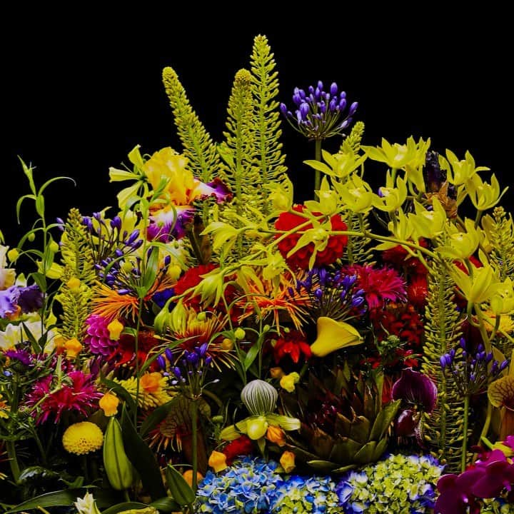東信のインスタグラム：「Flowers #amkk #amkkproject #makotoazuma #azumamakoto #東信花樹研究所 #東信 #jardinsdesfleurs #shiinokishunsuke #flowerart #flower #flowers #timelapse #30s #30秒 #60s #60秒 #タイムラプス #花と時間  #花と祈り #生と死」