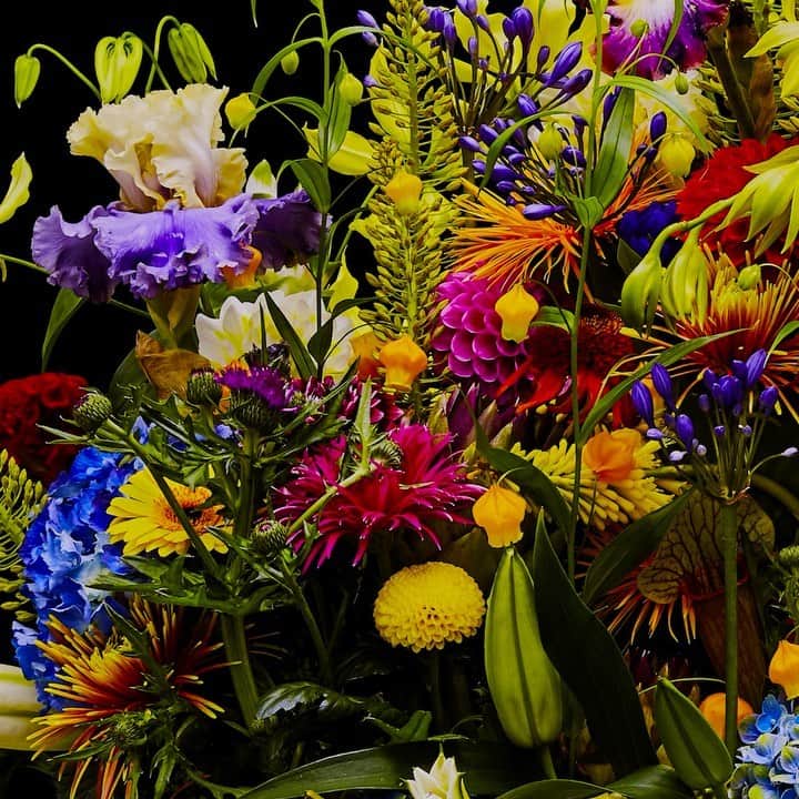 東信のインスタグラム：「Flowers #amkk #amkkproject #makotoazuma #azumamakoto #東信花樹研究所 #東信 #jardinsdesfleurs #shiinokishunsuke #flowerart #flower #flowers #timelapse #30s #30秒 #60s #60秒 #タイムラプス #花と時間  #花と祈り #生と死」
