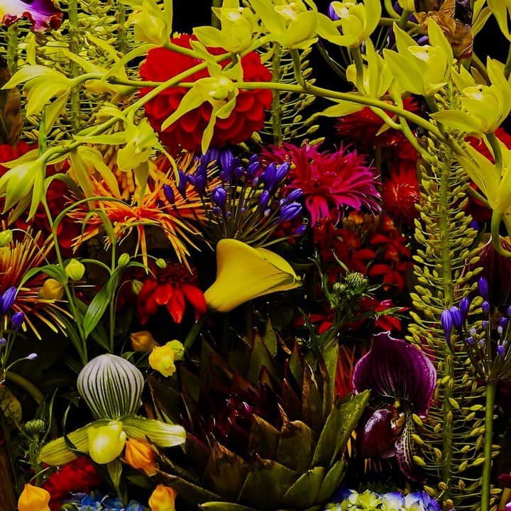 東信のインスタグラム：「Flowers #amkk #amkkproject #makotoazuma #azumamakoto #東信花樹研究所 #東信 #jardinsdesfleurs #shiinokishunsuke #flowerart #flower #flowers #timelapse #30s #30秒 #60s #60秒 #タイムラプス #花と時間  #花と祈り #生と死」
