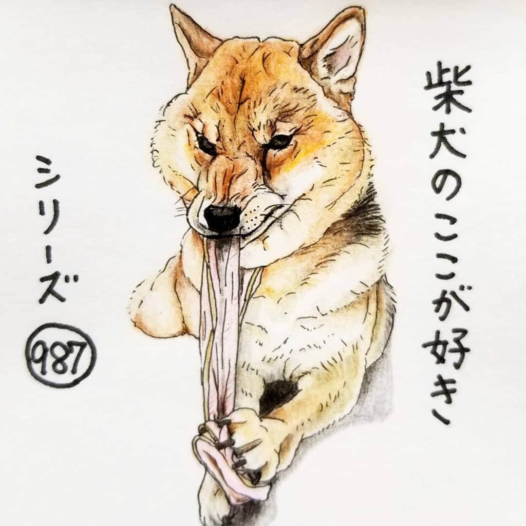 ハナとソラのインスタグラム