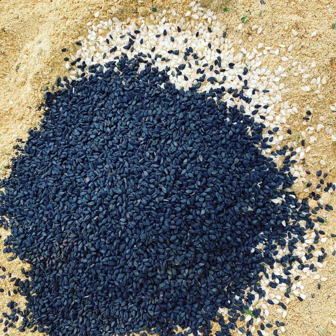 ケリスのインスタグラム：「Rub rub rub sweet black sesame ginger coming soon in our new @bountyandfull boxes」
