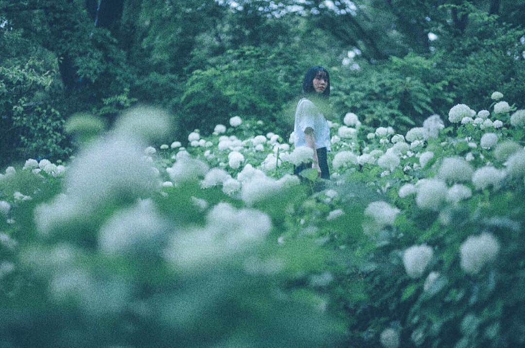 奥野香耶のインスタグラム：「毎年 ・ ・ photo(@tkhsmnr108 )  ・ ・ ・ #紫陽花  #アナベル #ポートレート」