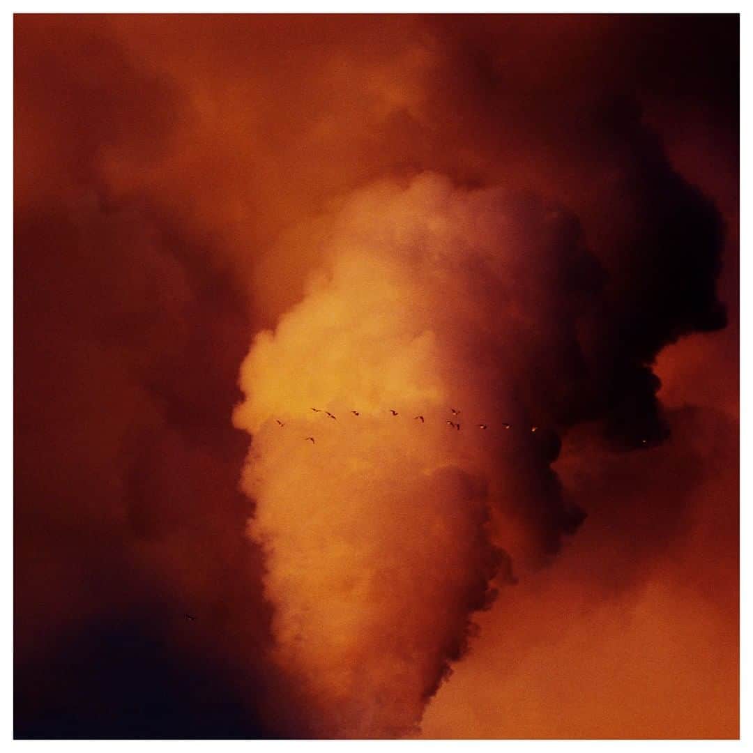 Magnum Photosさんのインスタグラム写真 - (Magnum PhotosInstagram)「Trent Parke (@chillioctopus)'s ongoing project - The Crimson Line - sees him reflecting on industry's deleterious impact on our world through the prism of first and last light each day.⁠ .⁠ Shot in the industrial landscape surrounding the beachside suburb in Adelaide that is Parke’s home, Parke's camera is often trained on the plumes of steam emanating from factory chimneys. Bathed in the intense reds and pinks of the early sun, they appear ominous and alien.⁠ .⁠ See the work and read an interview with the photographer today, at the link in bio.⁠ .⁠ PHOTO: From the project The Crimson Line, 2019⁠ .⁠ © @chillioctopus/#MagnumPhotos」6月30日 22時01分 - magnumphotos