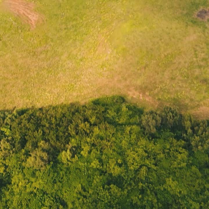 大森皓のインスタグラム：「What a nice view!! でした。 #dji #mavicmini #drone #生存確認」