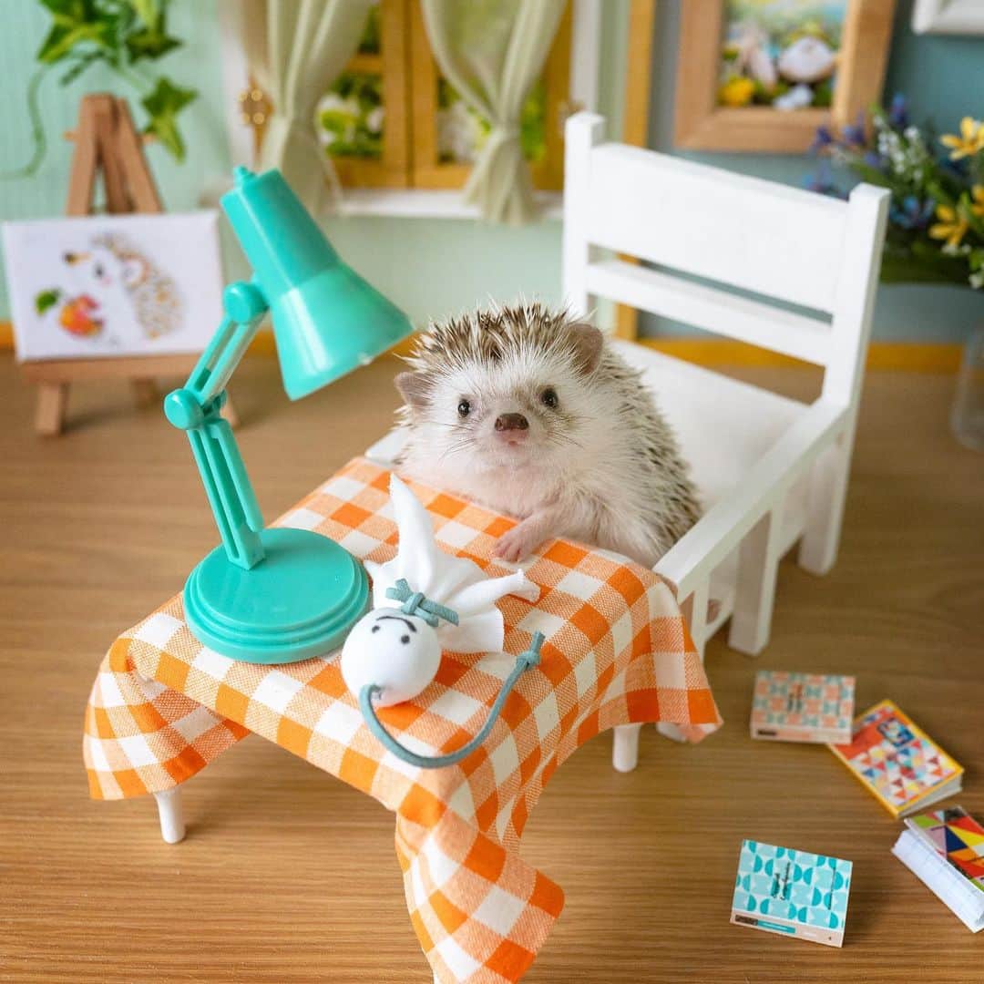 ダーシーのインスタグラム：「Rain, rain, go away🌞✨」