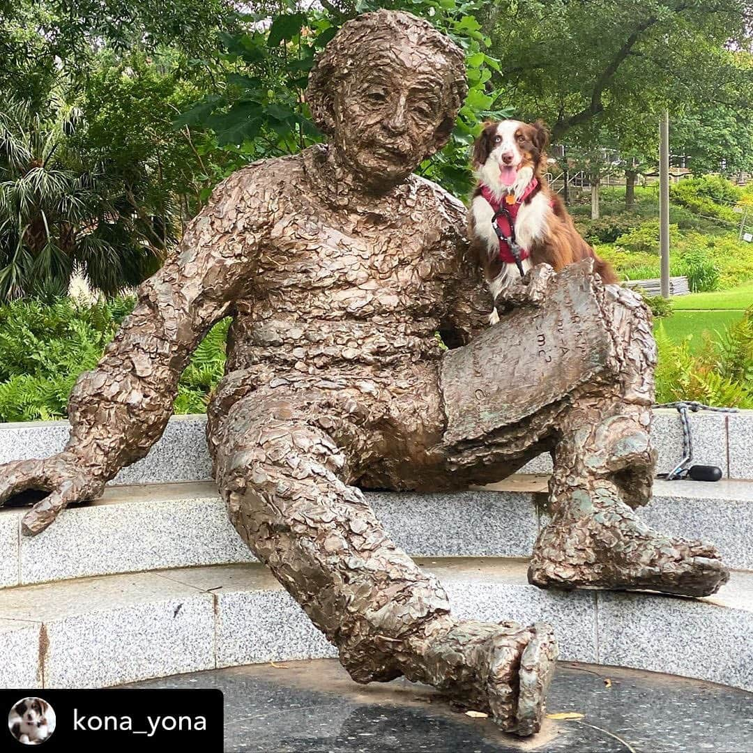 アルベルト・アインシュタインさんのインスタグラム写真 - (アルベルト・アインシュタインInstagram)「At the Einstein statue on the campus of Georgia Tech. Posted @withregram • @kona_yona 🐶」6月30日 22時37分 - alberteinstein