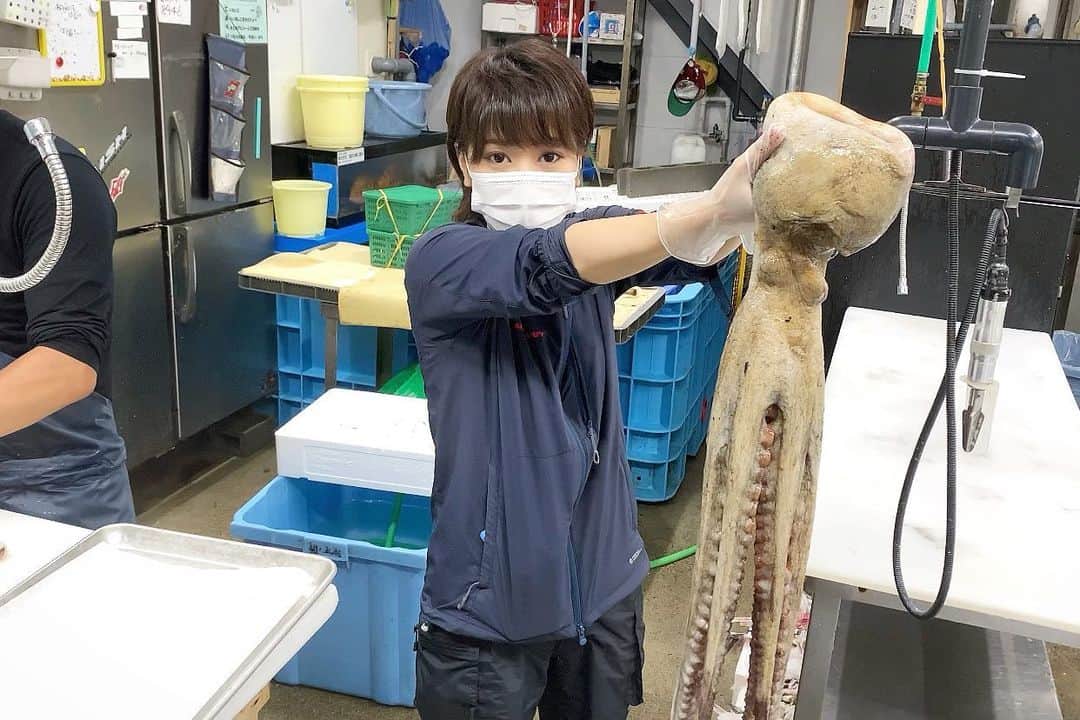 スーパーナブラのインスタグラム：「． ． タコの日🐙 ． 半夏生とは夏至から数えて約１１日目の雑節 だいたい毎年７月２日だそうです。 そして７月２日は日本記念日協会で認定された 「タコの日」です。 ． 今夜の生配信ライブで この巨大タコをアテに乾杯します🤤 ． 魚屋さんからのお願い 食べるものが決まってないなら タコ買って食べてね✨！ ． 巨大タコを仕入れたわたしは タコの1ポンドステーキを 作ってみようかな🤤 ． ． 🐙お知らせ🐙 【今夜21時00分】 スーパーナブラチャンネルで 生配信ライブをさせていただきます✨ ． ぜひぜひのぞきに来てくださいませ😊 ． #タコ#たこ#蛸#稚内#半夏生#タコ釣り #飛行機#温泉#旅館#ホテル#和食#鮭 #グルメ#露天風呂#足湯#GW#車中泊 #景色#釣り#ブラックバス#バス釣り #発見#おでかけ#女子旅#ツーリング #自然#釣り#釣りガール#YouTube#旅 ．」