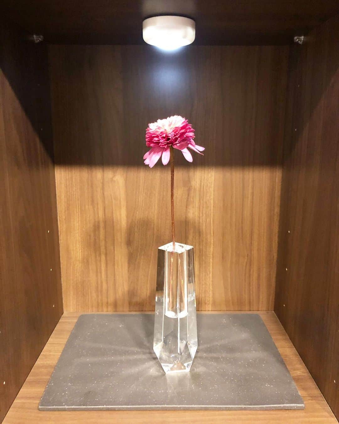 秋山真太郎のインスタグラム