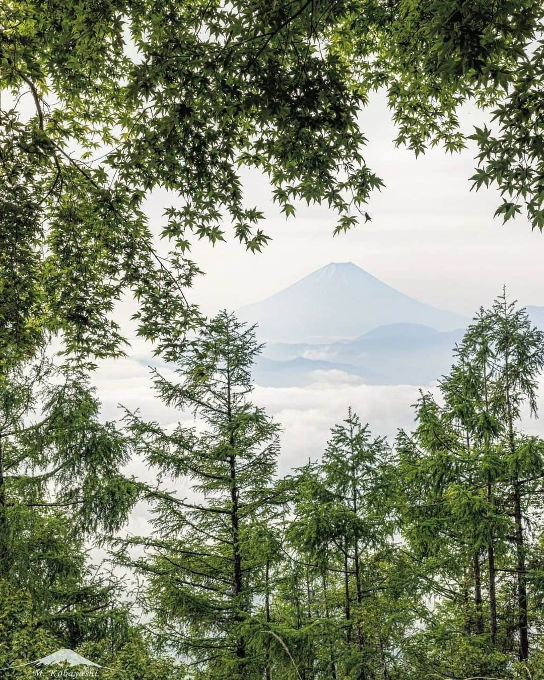 日本の国立公園さんのインスタグラム写真 - (日本の国立公園Instagram)「Photo by @archi_kobayashi⠀ https://www.instagram.com/p/ByYQaPUAepU/⠀ .⠀ #富士箱根伊豆国立公園⠀ #FujiHakoneIzuNationalPark⠀ .⠀ On our Instagram, we will also share wonderful photos of National Parks of Japan posted on Instagram with the tag #nationalparksjp. We look forward to your participation!⠀ .⠀ #NationalPark #nationalparks #nature #findyourpark #instafollow #japan #landscape #landscape_lovers #ourplanetdaily #landscapephotography #hiking #outdoors #traveling #travel #explore #visitjapanjp #日本 #國家公園 #일본 #국립공원 #国立公園」6月30日 15時00分 - nationalpark_japan