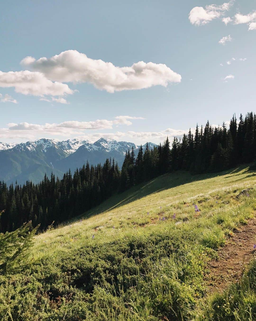 Robin May Flemingのインスタグラム：「Less than an hour from home, and a million miles away—this was as far as I've ventured from my front door since February.」