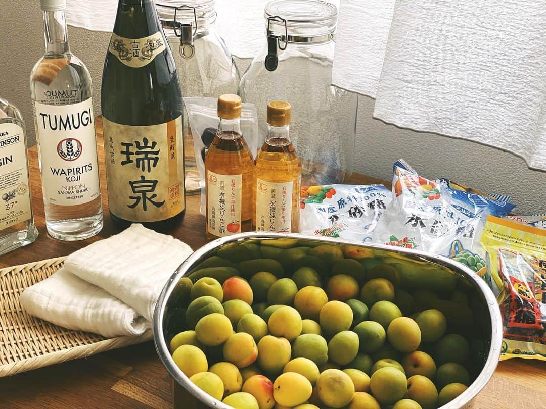 中里亜美さんのインスタグラム写真 - (中里亜美Instagram)「梅仕事。 日本酒、泡盛、ウイスキー、ジン。色んなお酒で梅酒作り。 待ちきれないただの呑兵衛🍶 梅干し、梅サワージュースとレモンサワーも💕 ─── #梅仕事2020 #無農薬梅」6月30日 15時17分 - __ami__go__