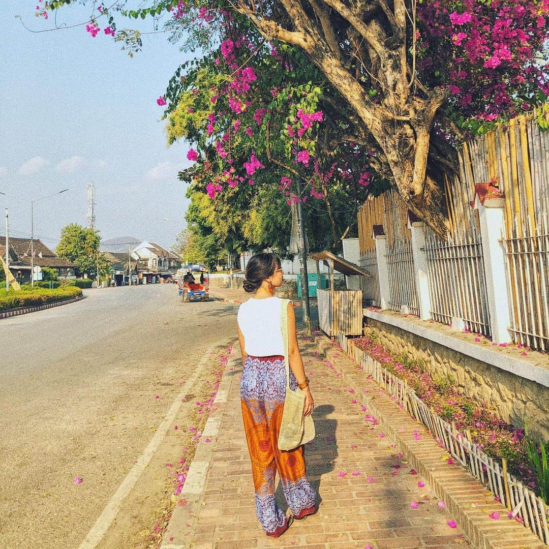 t_ppyのインスタグラム：「🇱🇦LaosのLuang prabang  街全体が世界遺産なのでどこを切り取っても素敵な街並み。  🛺は国によって乗るスタイルが違うから面白い❤️」