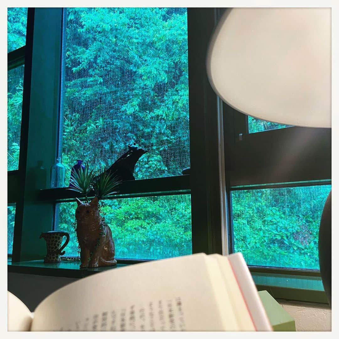 kumikoのインスタグラム：「大雨。 今日は溜まった本を読む。」