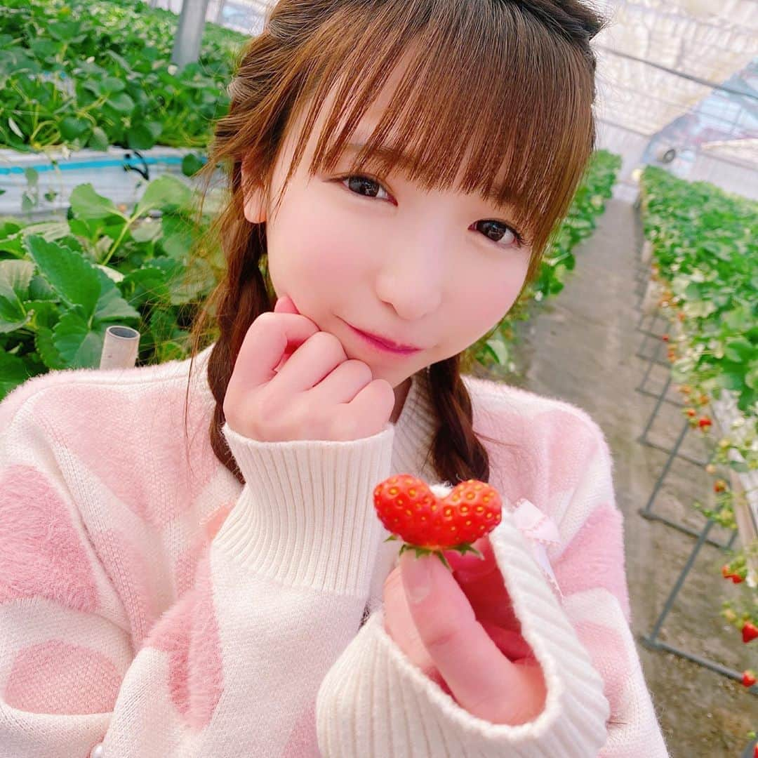 もえのあずきさんのインスタグラム写真 - (もえのあずきInstagram)「きゅんです💓🍓 #ハートいちご#いちご #いちご狩り#strawberry #もえあず#大食い女子#大食い#きゅんです」6月30日 16時21分 - moeazukitty