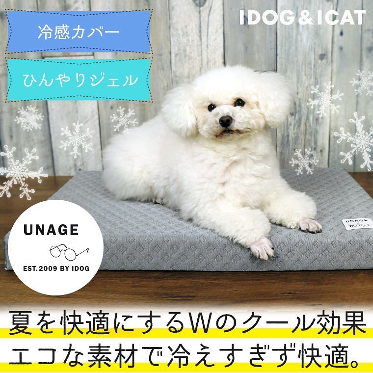 iDog&iCatのインスタグラム