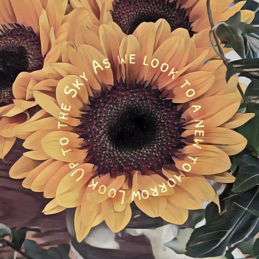 ホテルパシフィック金沢のグルメインスタ