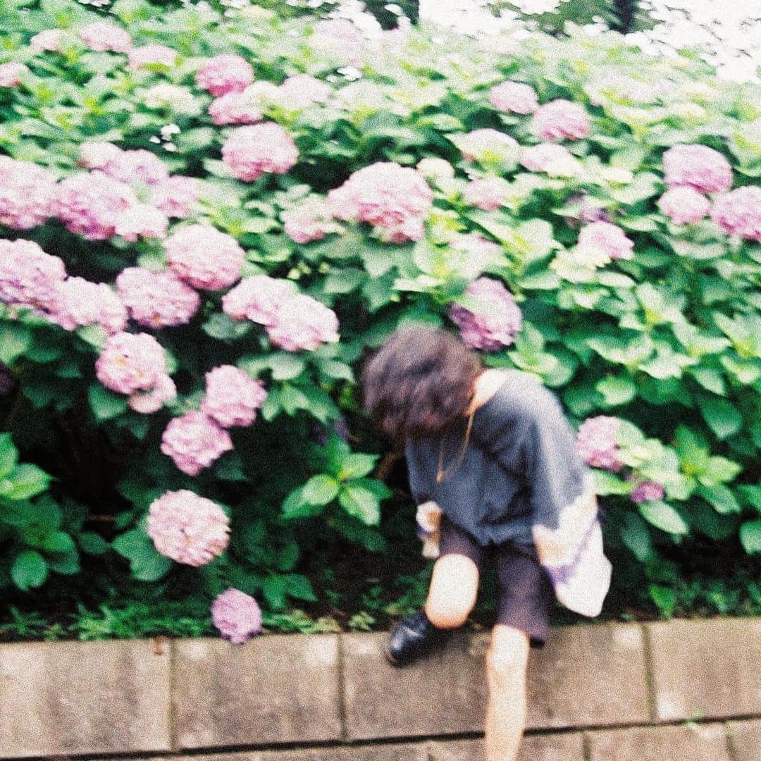 Aya（高本彩）さんのインスタグラム写真 - (Aya（高本彩）Instagram)「紫陽花雨宿り姫。  @minori_nakada   #photobyaya#紫陽花#散歩#nikon#fe2#35mm」6月30日 17時10分 - aya_dream04