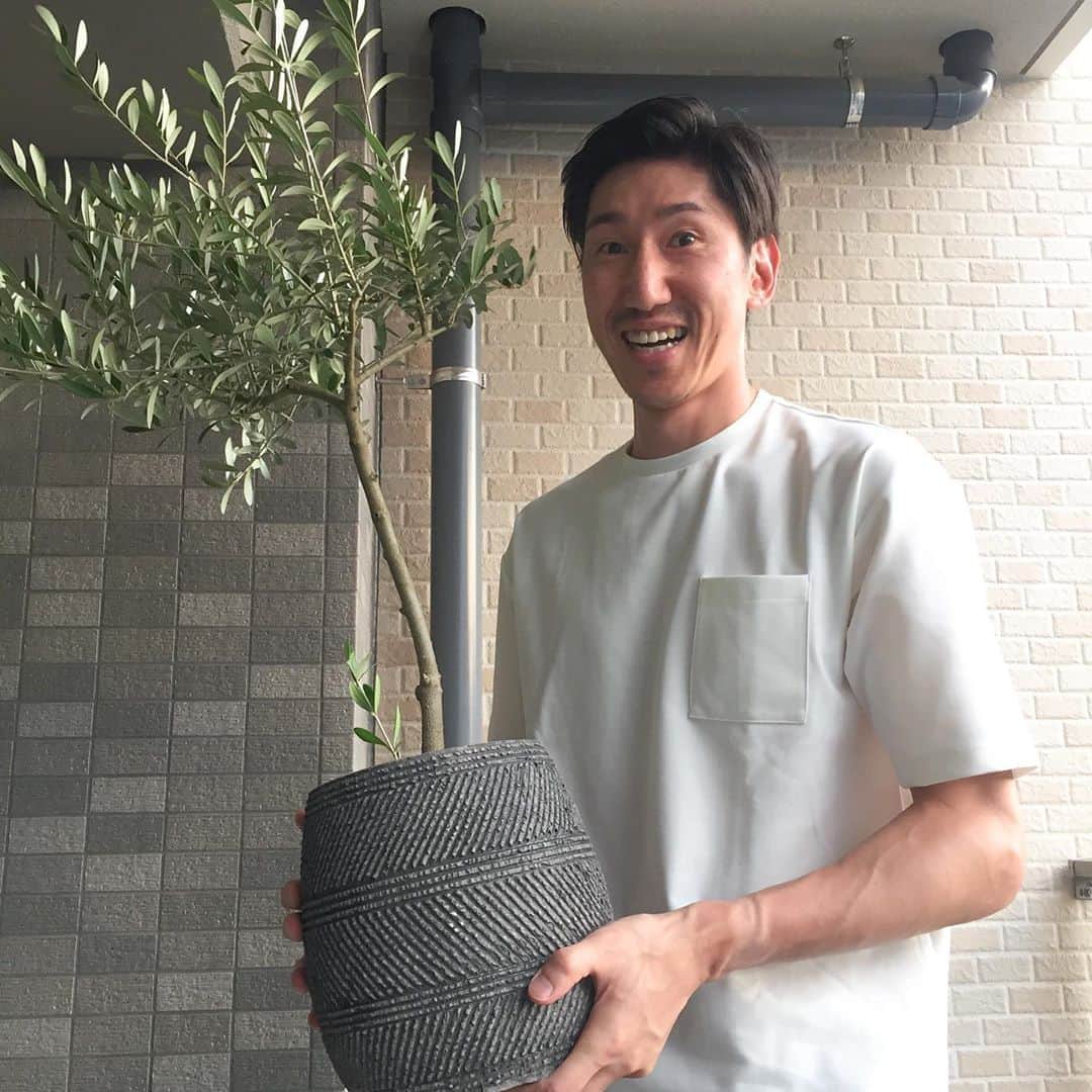 網野友雄のインスタグラム：「ずっと欲しかったのでゲットしました🌿見た目が好きです！ #オリーブの木」