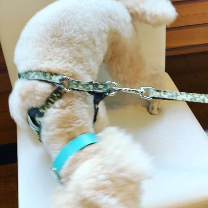 金村義明のグルメインスタ