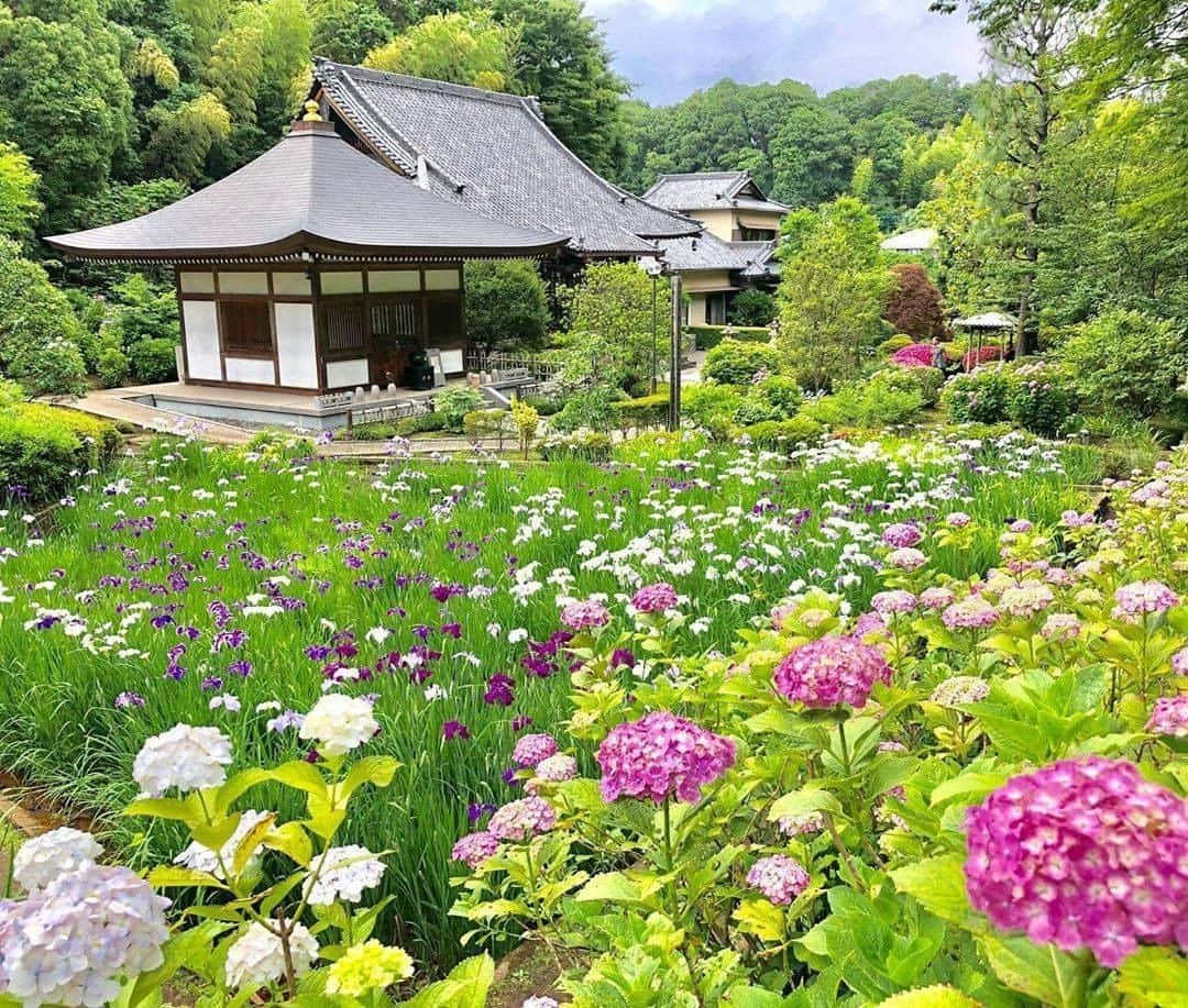 横浜市さんのインスタグラム写真 - (横浜市Instagram)「Perfect Yokohama scenery at Shogakuji.﻿ Photo: @kannon3388 ﻿ #myyokohama ﻿ ﻿ #yokohama #darlingescapes #beautifuldestinations #artofvisuals #somewheremagazine #discoverglobe #travelawesome #passionpassport #lovejapan #explorejapan #japanlife #japanfocus #japan_vacations #japanrevealed #よこはま #ヨコハマ #横浜」6月30日 18時00分 - findyouryokohama_japan