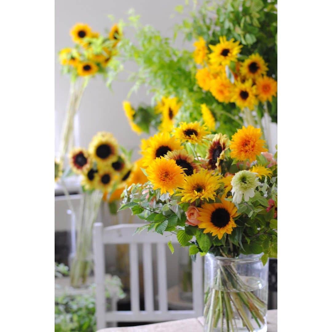田澤友子さんのインスタグラム写真 - (田澤友子Instagram)「【 6.30 ヒマワリの約束 】🌻 . 大切なヒマワリの日も 今年でちょうど10年目を迎えました。 . 10本の様々な種類のヒマワリと 可愛いお花やグリーン、ミントの葉も入った 幸せ感溢れるブーケを制作して頂きました。 . 目にするたびに温かで幸せな思い出が蘇るような、 優しくて素敵なブーケをありがとうございます✨ bouquet… @sae.cco  . . 今年もミント🐈に食べられながらも（笑）、 たくさんのヒマワリに囲まれて 彼はとても幸せそうです🌻 . 2020.6.30 . . #ちぃず #ミント #ヒマワリ #向日葵 #10本のヒマワリ #色んなヒマワリがとっても可愛い #幸せ感溢れるブーケ #ミントもコラボ #猫 #ネコ #ネコとヒマワリ #花束にもミント #さえっこさんいつもありがとうございます #ヒマワリの約束 #今年もありがとう」6月30日 17時58分 - tomo_tazawa