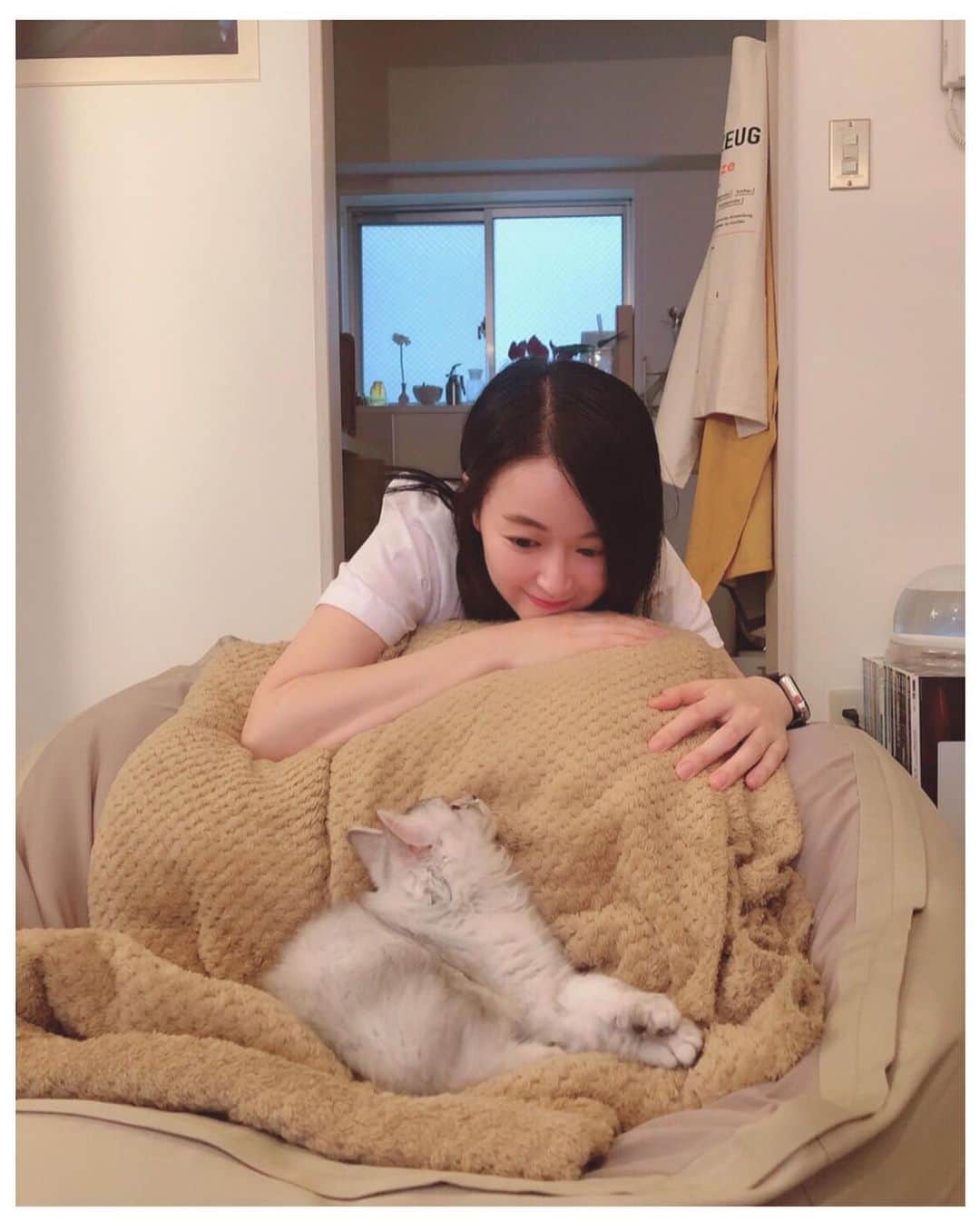 カン・ハンナさんのインスタグラム写真 - (カン・ハンナInstagram)「・﻿ ﻿ ﻿ 穏やかな時間が静かに流れている…💓　﻿ ﻿ ﻿ ﻿ ﻿ ﻿ ﻿ #うみ　#猫　#子猫ちゃん﻿ #愛しき時間　#可愛い　﻿ #만나서반가웠어　#또만나자 ﻿ ﻿ ﻿ ﻿ ﻿ ﻿」6月30日 18時36分 - kang_hanna_jp