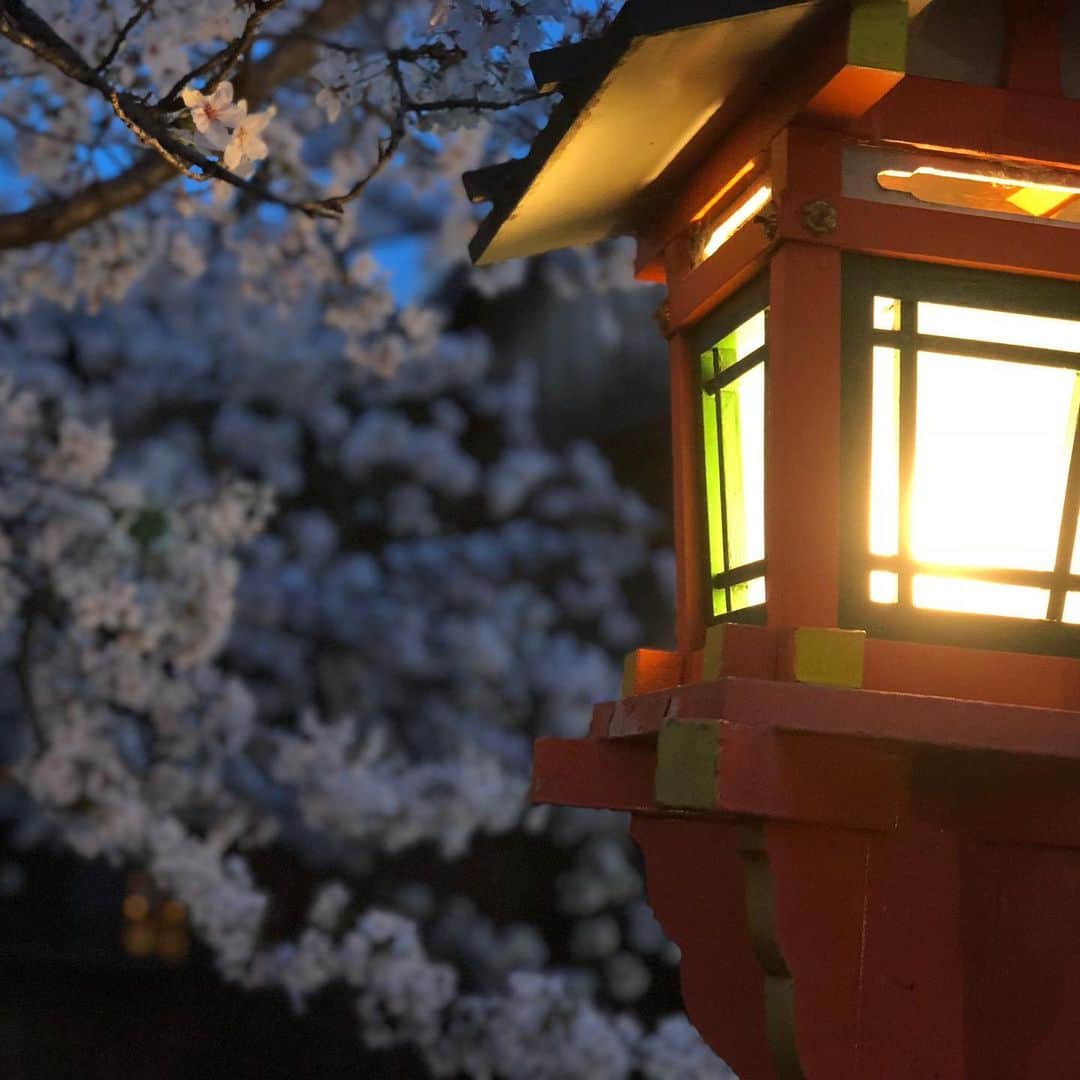 鳳真由のグルメインスタ