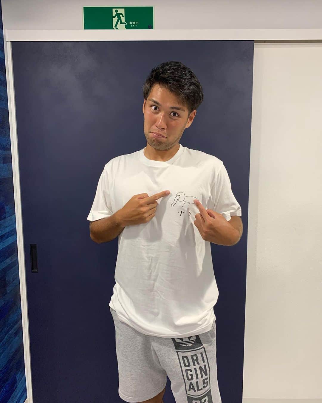 野田裕喜のインスタグラム：「普段こんな事あまり言わないんですけどこれだけは買ったほうがいいです。  #ゾウ #摂津 #ディーオ #他にも個性的な服がいっぱいあります #ゾウは2枚くらい買っててもいいと思われます #今年の山形攻めてます」