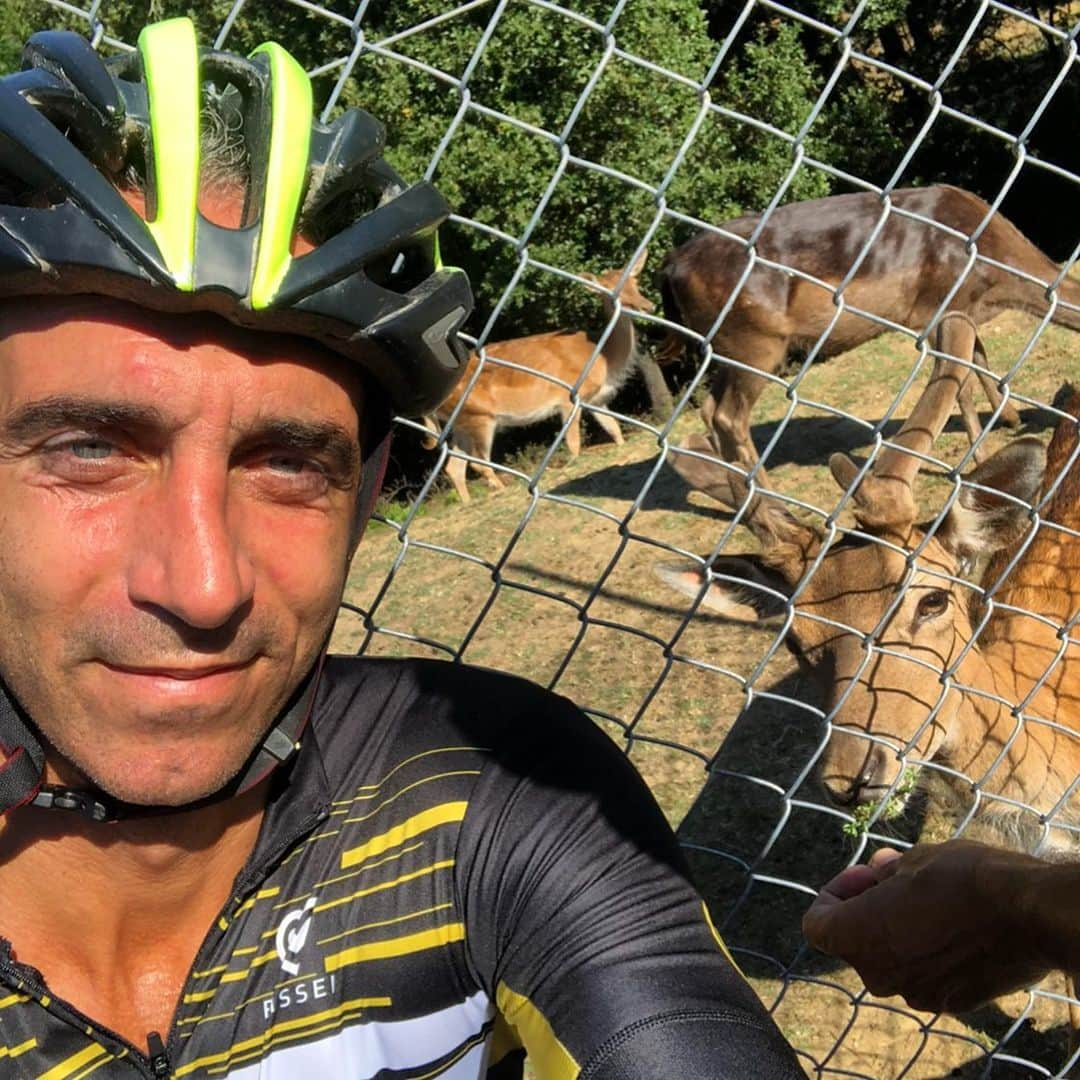 ダリオ・ダイネッリのインスタグラム：「Quando vai a fare una girata in bici e trovi i “ parenti “😂😜 #daino 🦌」