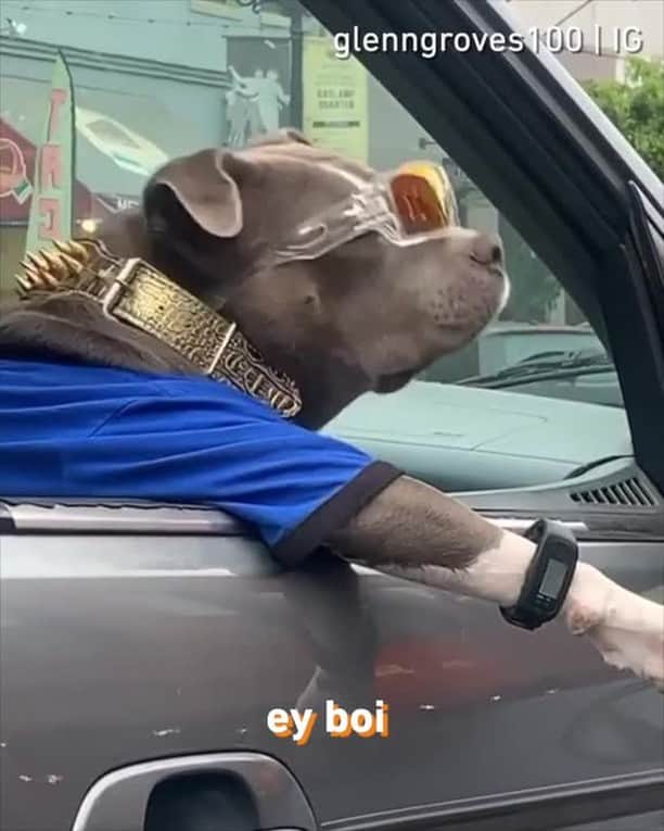 9GAGのインスタグラム