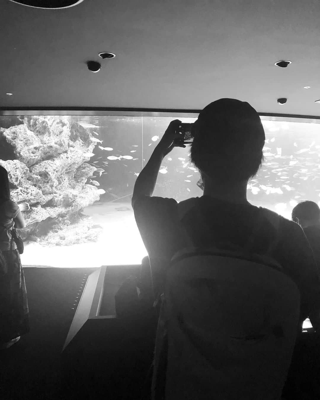 前田隆太朗のインスタグラム：「丘と水族館行ったときの写真 #深海のカンパネルラ #朗読会 #ゲキモバ」