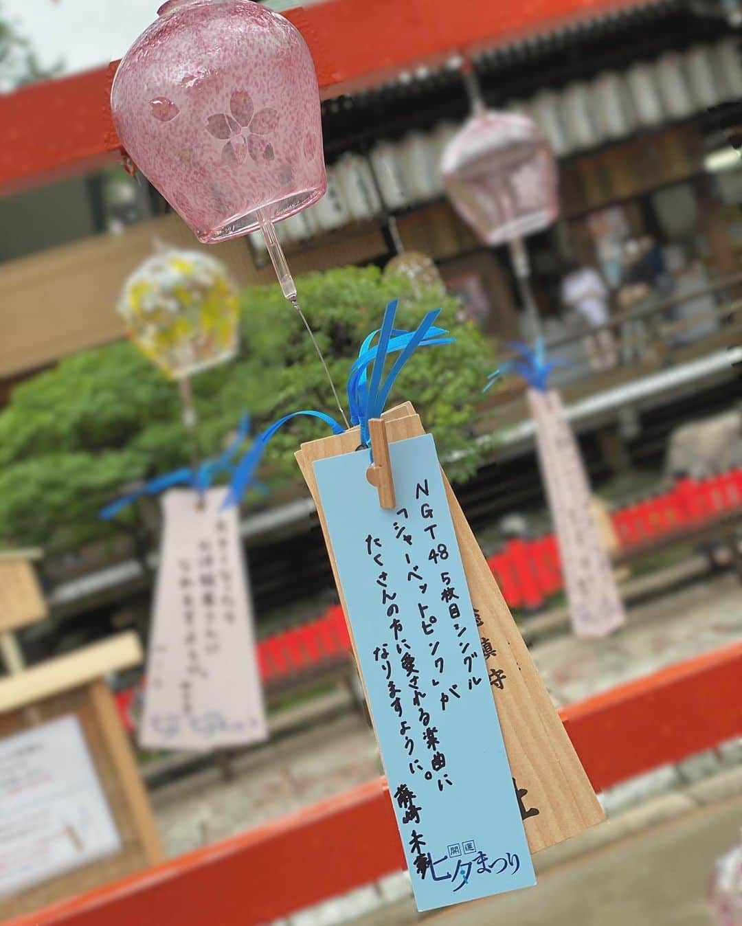 藤崎未夢さんのインスタグラム写真 - (藤崎未夢Instagram)「♡ 今日から白山神社で始まった七夕祭りに行きました！ . たくさんの風鈴は 見た目も音色もとっても素敵でした☺️🎐 「シャーベットピンク」がたくさんの方に愛されますように、と短冊に願いを込めて シャーベットピンク色の風鈴につけてみたよ🍧 . . この七夕祭りは7月19日まで行われていて、 午後6時30分〜午後9時まではライトアップもされるそうです🎋 . . #NGT48 #NGT48研究生 #藤崎未夢 #新潟 #白山神社 #七夕祭り #未夢ちゃんとデート」6月30日 20時22分 - miyu_miyu_ngt48