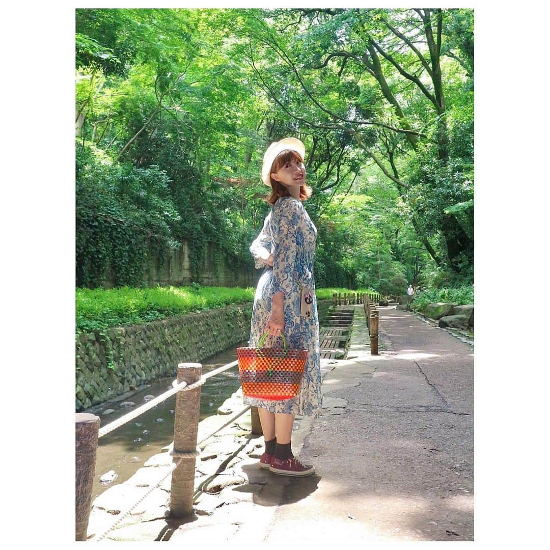 夕霧らいさんのインスタグラム写真 - (夕霧らいInstagram)「癒しを求めて、涼しい自然のスポットへ🌱 渓谷沿いの植物を見たり、浅い川を歩く鴨を追いかけたり🦆👀💕 皆様にも川のせせらぎをお裾分け👂✨. . . #ある日の風景  #等々力渓谷 #とっても涼しい🍃  #お散歩スポット #虫除けは必須  #何箇所か刺されました #鴨さん親子かな  #二羽ともオス？ #歩く姿がたまらない  #ソーシャルディスタンス 守りつつ #楽しみを見つける  #三密を避けよう」6月30日 20時49分 - 88rairai88