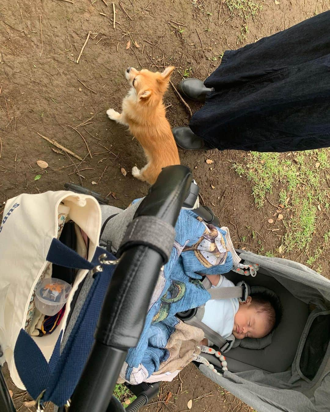 本橋菜子のインスタグラム：「7月突入〜👶🏻🐶 ・ 先日、甥っ子連れて車で会いに来てくれました‼︎ ・ ・ 感染対策をして、ちょびっとだけ近くのドッグランに行きましたよー ・ 練習以外は基本ずーとお家時間なので、 久々に私服きてお出かけしました🚶‍♂️🚗 ・ 去年 @ym_nw08 さんの紹介で、 ユニバーサルオーバーオールの展示会にお邪魔させてもらった時にいただいたお洋服です👕 つい先日届いて、早速着てみました‼︎ 因みに、履いているシューズはアンダーアーマー💙 ・ お洒落して早くいろんなところに行けるようになるといいな ・ ・ 良きオフの日でした😊🧸 ・ #underarmour  #universaloverall」