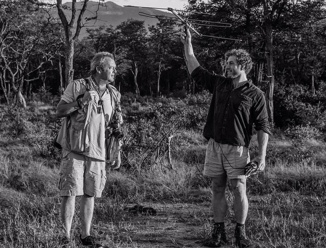 デビッド・ポーコックさんのインスタグラム写真 - (デビッド・ポーコックInstagram)「Enjoyed hearing @davidyarrow on @timferriss podcast. I spent two weeks with Yarrow in Zimbabwe in 2017. Amazing work ethic and dedication to get the photos he does!   You can read more and see some of his photos in In Our Nature. Link in my bio for signed copies.」7月1日 7時16分 - davidpocock