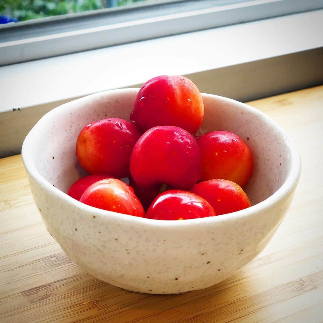 小宮山雄飛さんのインスタグラム写真 - (小宮山雄飛Instagram)「おはよう世界！毎年マネージャーの実家のさくらんぼ畑から送ってくれる、さくらんぼが今年も届いた。日々美味しいものを食べてるけど、これに勝るものなし！甘味、風味、酸味のバランスが最高。」7月1日 7時08分 - yuhikomiyama