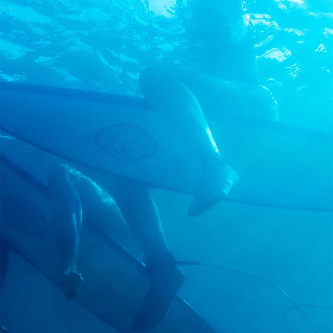 レイキー・ピーターソンのインスタグラム：「The ocean is my second home.  Preserving it is essential. As someone who spends their  days on the water knowing that  @shiseido Ultimate Sun Protector SPF 50+ Lotion is  Hawaii-compliant, and free of  oxybenzone and octinoxate. I personal think it’s really cool of Shiseido to take this important step in the right direction.  #shiseidoblue #shiseidosuncare」