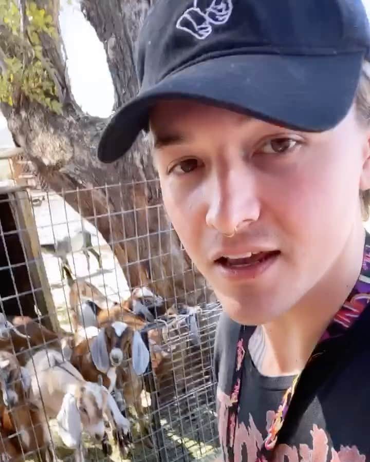 Ghastlyのインスタグラム：「Holy shit my goats understand English」