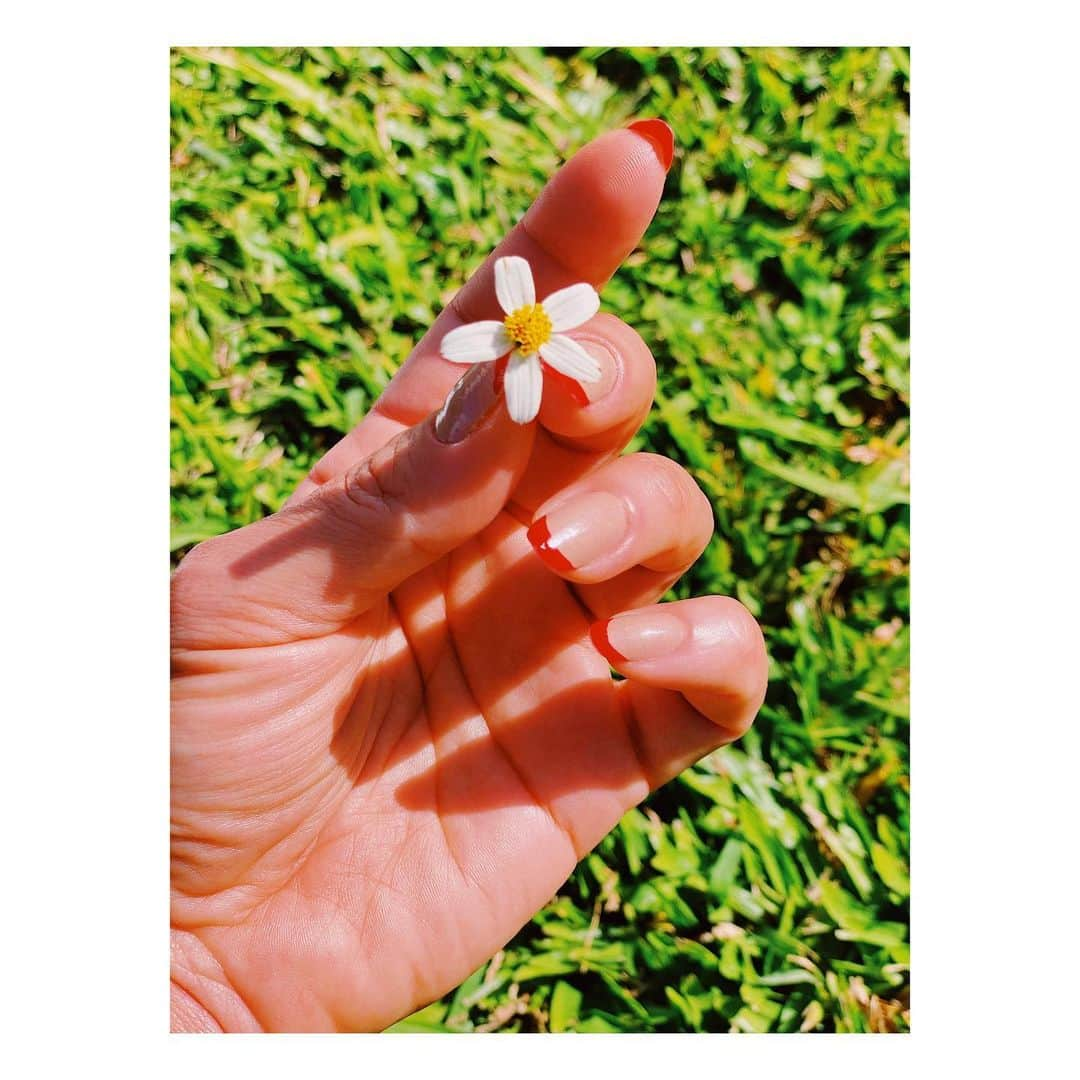 ジュリアナ・パエスさんのインスタグラム写真 - (ジュリアナ・パエスInstagram)「Tamanho não é documento ☺️🌼🍀🍄🌿🌸 (viciada em pintar a pontinha da unha assim!!!)」7月1日 7時41分 - julianapaes