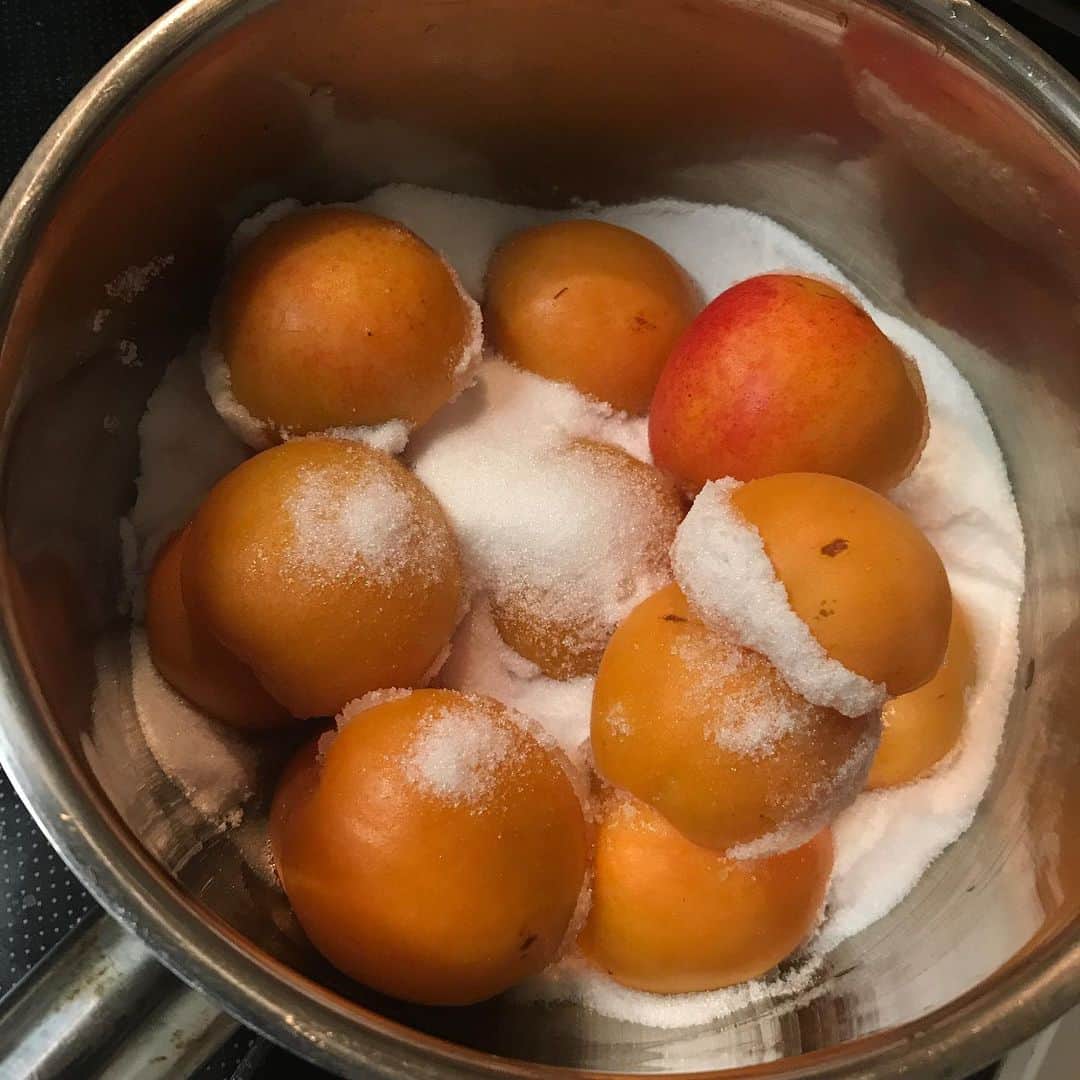 maiさんのインスタグラム写真 - (maiInstagram)「2020年6月30日 . 🎶杏のコンフィ🎶 . 杏不作の中、何とかお取り寄せで届いた信山丸はシロップ漬け、コンフィ、ジャムとフル活用します😊 . コンフィは砂糖をまぶして杏の水分を出し、その水分で煮て、冷まし、煮て、砂糖を加え、、、という作業。  杏の水分を出しつつ、砂糖を浸透させていきます。  ここまででセミコンフィになり、シロップだけ107℃まで煮詰めて果肉を戻し漬け込むとコンフィになります。  そのままでも味が凝縮していて美味しいですが、ヨーグルトやアイスに添えたり、暑くなればカキ氷にシロップごとかけたいです😼😆あんみつにも〜〜😆😆 . . #杏仕事 #杏 #信山丸 #杏のコンフィ  #お菓子教室 #ミルガトー #つくば」7月1日 8時19分 - michoumama
