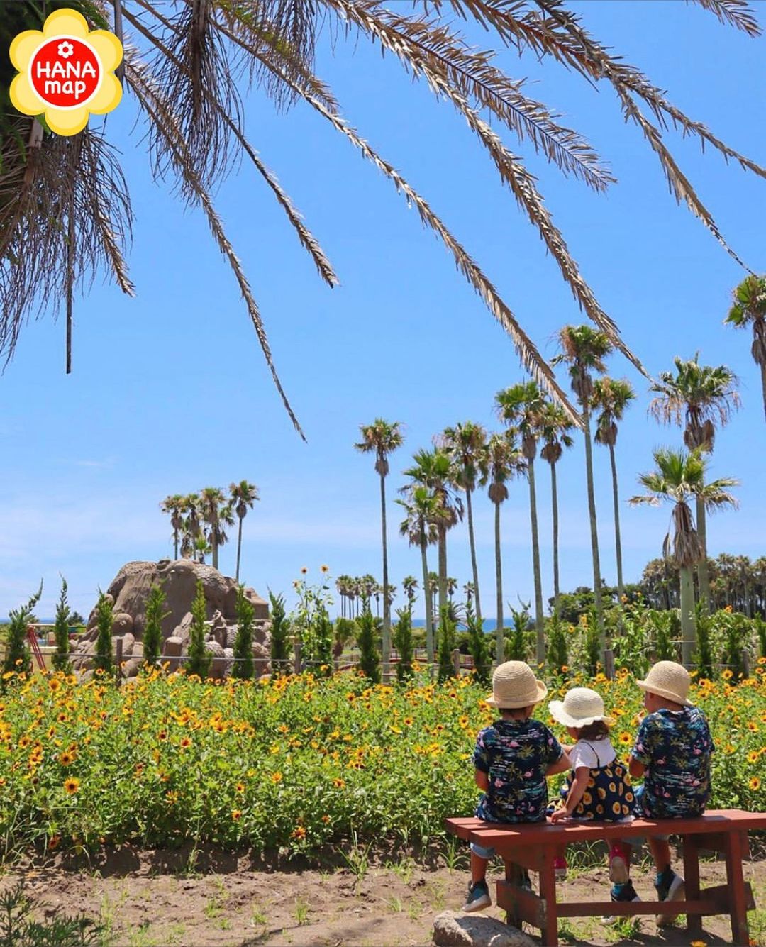 はなまっぷ❁日本の花風景さんのインスタグラム写真 - (はなまっぷ❁日本の花風景Instagram)「はなまっぷ🌸心に残る花風景 *  @rikiriki825 さんの  心に残る花風景に花まるを💮 * 人々の心にも花が咲く日本の美しい花風景をありがとうございます😊🌸 * 千葉　#館山ファミリーパーク Tateyama Family Park, Chiba Pref. *  🌼ヒマワリの言葉📝🌼 あなたを見つめる、愛慕 * ※〜6/30まで、春夏秋冬季節を問わず、みなさんの心に残る素敵な花風景をご紹介させていただいています。見頃や開園状況は各施設のHP等をご確認ください。 * 🌸•••🌸•••🌸•••🌸•••🌸•••🌸 * みなさんがこれまでに撮影された花風景の中から、 ✨1番✨心に残っているお写真に、 * #はなまっぷ #心に残る花風景 * の2つのタグを記載して、 ご参加いただけると嬉しいです。 既に投稿済みのものに追記も可。 （募集期間6月30日(火)まで） * たくさんのご参加お待ちしています😊 * #日本の美しい花風景#心に残る花風景#花#花言葉#風景#ヒマワリ#向日葵」6月30日 23時27分 - hanamap