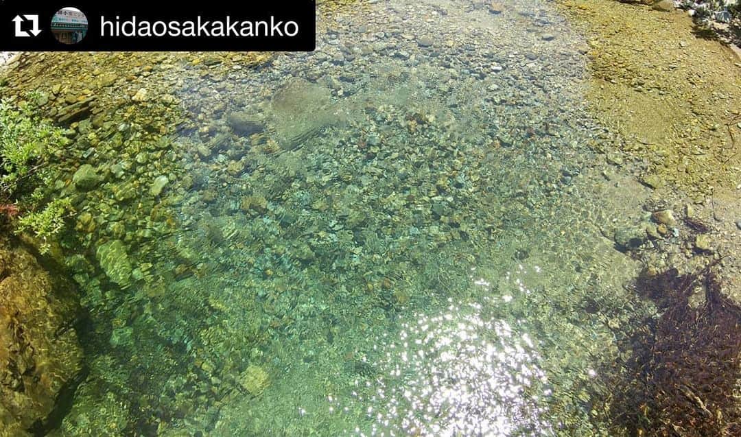 Gero City【下呂市公式アカウント】さんのインスタグラム写真 - (Gero City【下呂市公式アカウント】Instagram)「#Repost @hidaosakakanko with @get_repost ・・・ この透き通った水の色。ぜひ多くの方に見ていただきたい。さてここはどこでしょう？答はロケーションにありますが、ここではこの美しい水を見るだけでない時間の過ごし方があります❣どんな過ごし方があるのか、得意の小出しで少しずつ紹介していきますね🏞️ #飛騨小坂  #小黒川釣場  #小黒川  #岐阜  #下呂  #川  #釣り  #マス  #アマゴ  #イワナ  #nofilter  #gerostagram  #gifubooks  #gifuebooks  #川遊び  #水遊び #川釣り  #渓流  #渓流釣り」6月30日 23時40分 - gerostagram