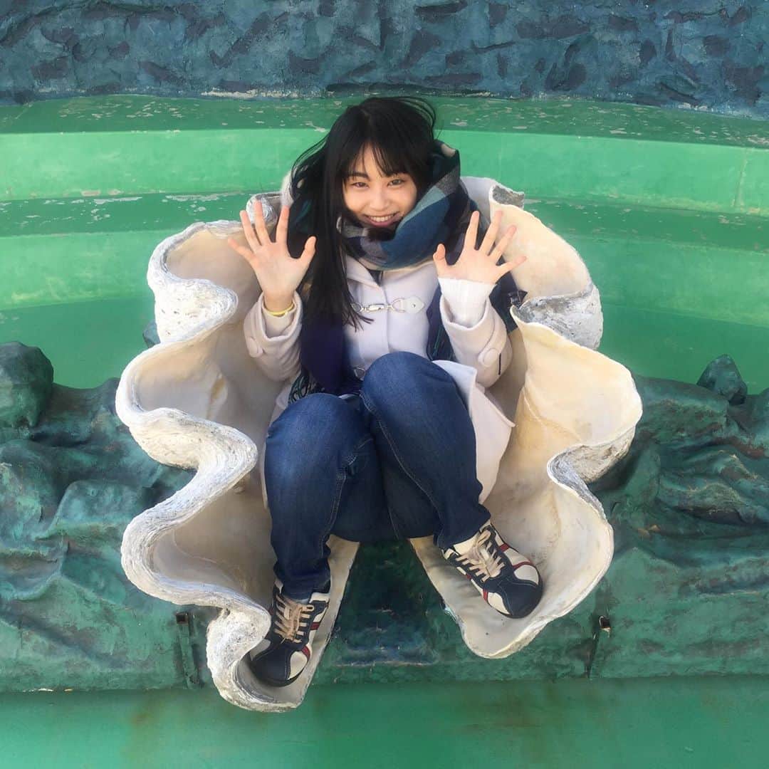 トロたんさんのインスタグラム写真 - (トロたんInstagram)「トロたんと旅するIN愛知 【4枚目トライポフォビアの方はちょっとだけ閲覧注意⚠】 国の天然記念物 愛知竹島！※愛知県蒲郡市の三河湾に浮かぶ小島の無人島 パワースポット八百富神社風がめちゃくちゃ強かった…！ そして激推しきておきたい 竹島ファンタジー館！※一般受けは悪いみたいですが個人的にゾクゾクして凄い好きな空間でした。 5500万個の貝殻がここに来ればみれますあっちもこっちも貝殻です。 とにかく貝殻！ワシントン条約で今は手に入らない貝殻がゴロゴロあって感激しました🤣 無理な人多そうだからのせれませんが フジツボとかのプツプツとかゾワゾワして好きだって気づいちゃったよね🥺 #トロたんと旅する #八百富神社  #愛知 #愛知県 #蒲郡 #竹島 #竹島ファンタジー館 #貝殻 #貝 #観光地 #トライポフォビア #museum  #旅スタグラム #旅行 #旅行好き女子 #観光 #たびすたぐらむ #tbt #Japanese #japanesegirl  #selfie #Japan #Japantrip #Japantravel #animal #女子旅  #旅 #trip #travel #photo」7月1日 0時07分 - torotan_tan