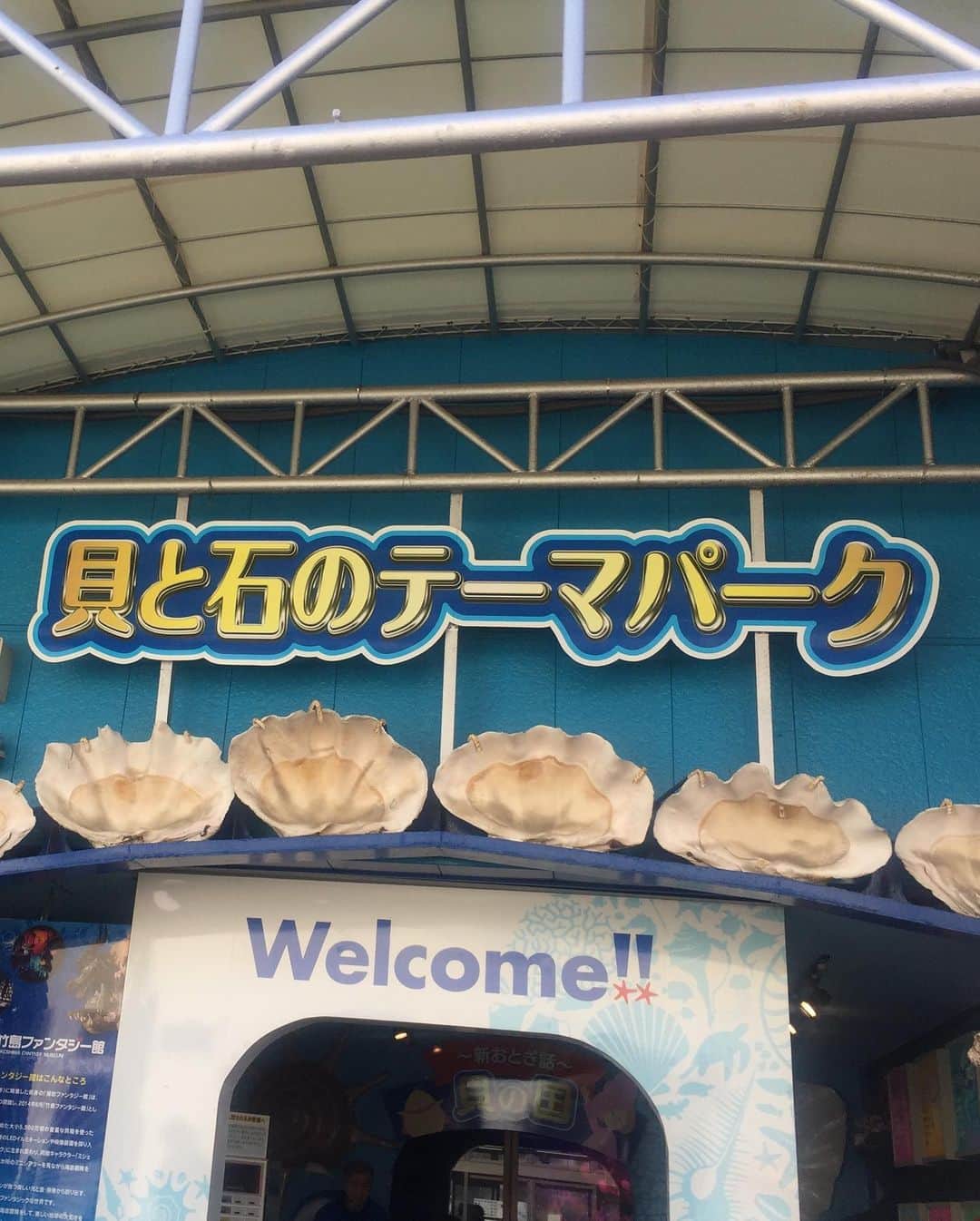 トロたんさんのインスタグラム写真 - (トロたんInstagram)「トロたんと旅するIN愛知 【4枚目トライポフォビアの方はちょっとだけ閲覧注意⚠】 国の天然記念物 愛知竹島！※愛知県蒲郡市の三河湾に浮かぶ小島の無人島 パワースポット八百富神社風がめちゃくちゃ強かった…！ そして激推しきておきたい 竹島ファンタジー館！※一般受けは悪いみたいですが個人的にゾクゾクして凄い好きな空間でした。 5500万個の貝殻がここに来ればみれますあっちもこっちも貝殻です。 とにかく貝殻！ワシントン条約で今は手に入らない貝殻がゴロゴロあって感激しました🤣 無理な人多そうだからのせれませんが フジツボとかのプツプツとかゾワゾワして好きだって気づいちゃったよね🥺 #トロたんと旅する #八百富神社  #愛知 #愛知県 #蒲郡 #竹島 #竹島ファンタジー館 #貝殻 #貝 #観光地 #トライポフォビア #museum  #旅スタグラム #旅行 #旅行好き女子 #観光 #たびすたぐらむ #tbt #Japanese #japanesegirl  #selfie #Japan #Japantrip #Japantravel #animal #女子旅  #旅 #trip #travel #photo」7月1日 0時07分 - torotan_tan