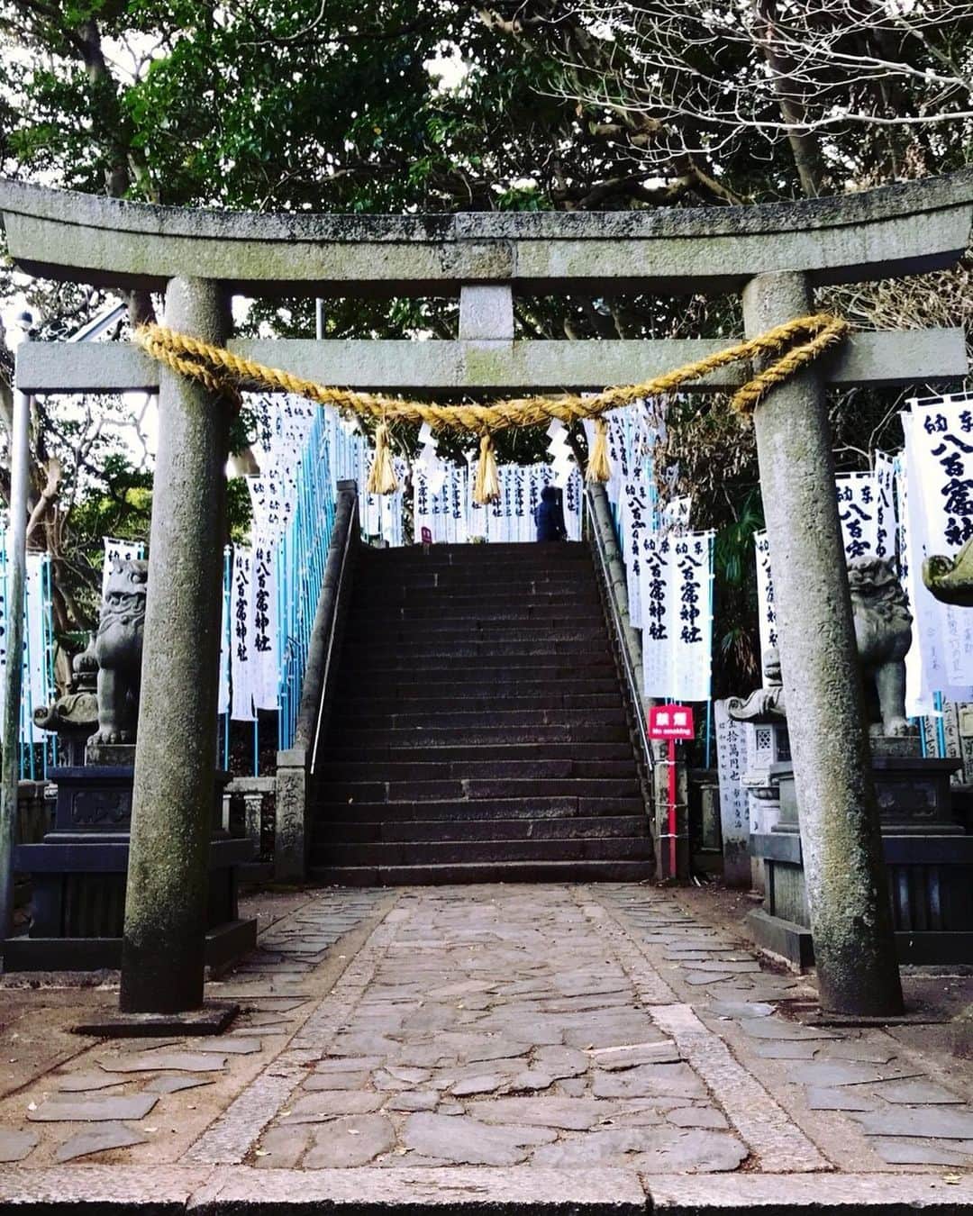 トロたんさんのインスタグラム写真 - (トロたんInstagram)「トロたんと旅するIN愛知 【4枚目トライポフォビアの方はちょっとだけ閲覧注意⚠】 国の天然記念物 愛知竹島！※愛知県蒲郡市の三河湾に浮かぶ小島の無人島 パワースポット八百富神社風がめちゃくちゃ強かった…！ そして激推しきておきたい 竹島ファンタジー館！※一般受けは悪いみたいですが個人的にゾクゾクして凄い好きな空間でした。 5500万個の貝殻がここに来ればみれますあっちもこっちも貝殻です。 とにかく貝殻！ワシントン条約で今は手に入らない貝殻がゴロゴロあって感激しました🤣 無理な人多そうだからのせれませんが フジツボとかのプツプツとかゾワゾワして好きだって気づいちゃったよね🥺 #トロたんと旅する #八百富神社  #愛知 #愛知県 #蒲郡 #竹島 #竹島ファンタジー館 #貝殻 #貝 #観光地 #トライポフォビア #museum  #旅スタグラム #旅行 #旅行好き女子 #観光 #たびすたぐらむ #tbt #Japanese #japanesegirl  #selfie #Japan #Japantrip #Japantravel #animal #女子旅  #旅 #trip #travel #photo」7月1日 0時07分 - torotan_tan